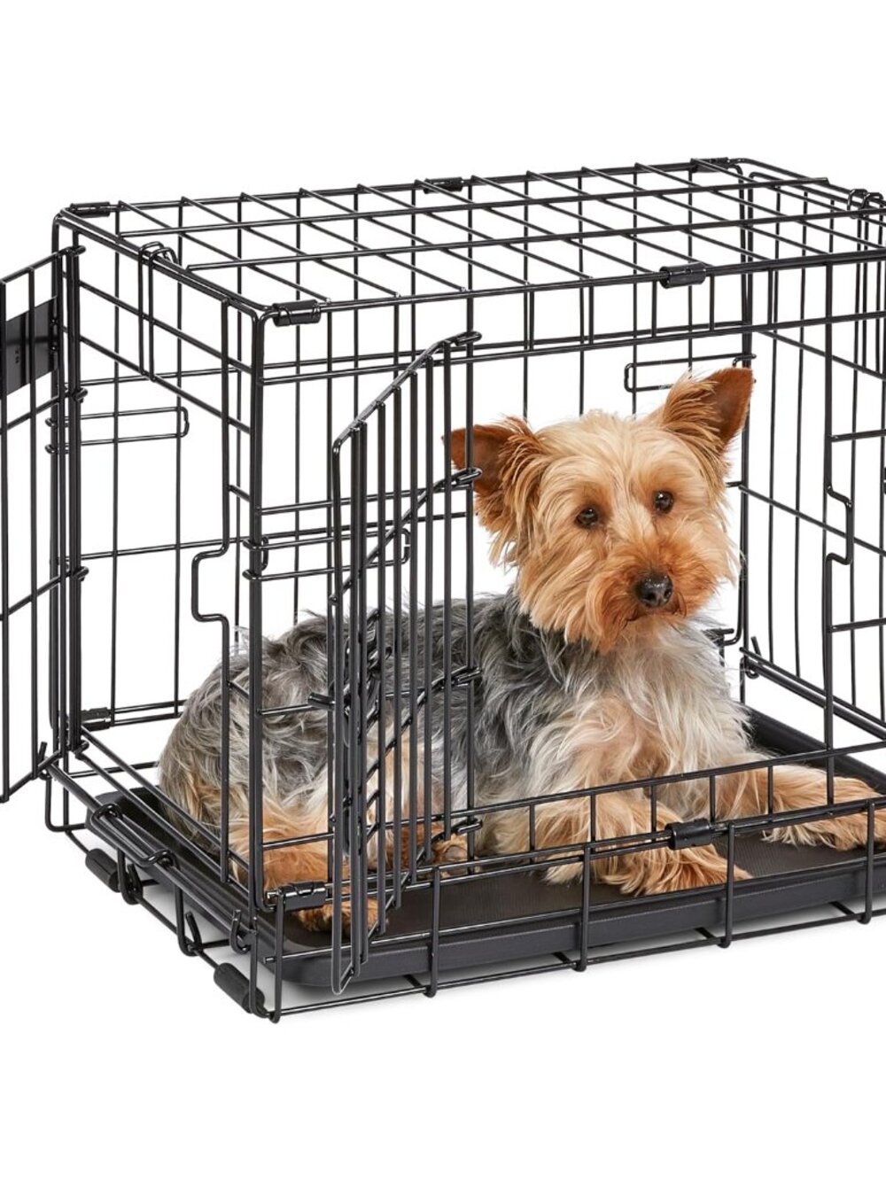 Midwest 18-Inch Double Door iCrate, for Tiny Breeds, Up to 10 lbs
